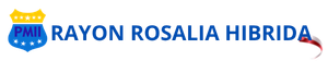 Rayon Rosalia Hibrida